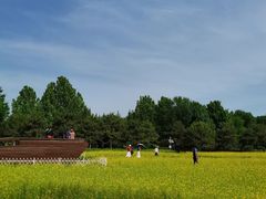 -北坞公园