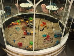 -Lilliput粒粒堡亲子餐厅(置汇旭辉店)