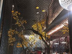 -京华烟云·北京烤鸭(领展购物广场·中关村店)