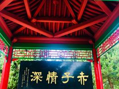 -中华三祖圣地黄帝城遗址文化旅游区