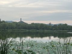 -北坞公园