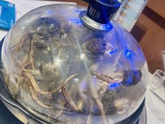 -半岛听涛蒸汽海鲜自助(K11店)