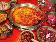 卤水肥肠-谭鸭血老火锅(图书馆店)