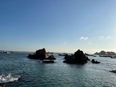 -枸杞岛