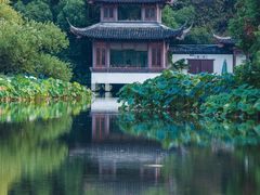 -杭州植物园