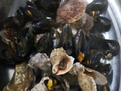 -宾朋海鲜特色美食餐厅·纯手工鲅鱼水饺(兴海路店)