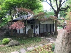 -新洲生态园