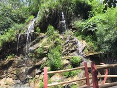 -少华山国家森林公园