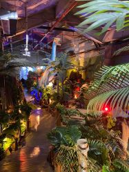 -恐龙探索乐园(磁器口店)