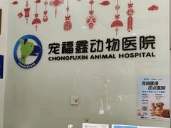 -宠福鑫动物医院(望京分院)