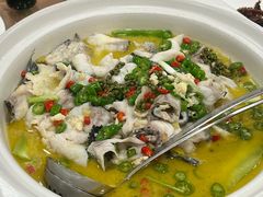 -厨彩阳光(河东路店)