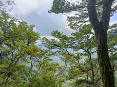 -明堂山风景区