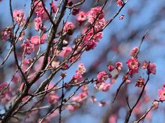 -菩泰·泰式草本按摩SPA(国大城市广场店)