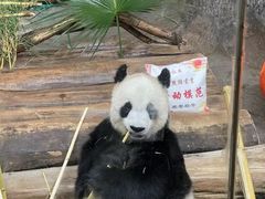 -海南热带野生动植物园