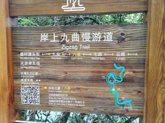 -九曲溪竹筏码头