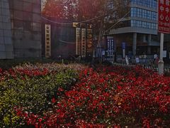 -中国人民解放军联勤保障部队第九八〇医院