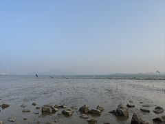 -深圳湾公园(南山区)