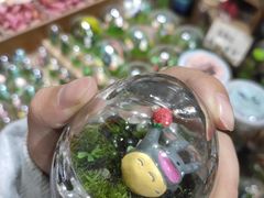 -猫的天空之城概念书店(苏州平江店)