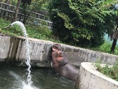 -西安秦岭野生动物园