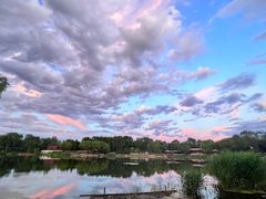 -北坞公园
