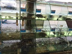 -海尚韵舍海景餐厅(朱家尖店)
