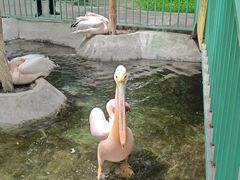 -水上乐园·欢乐世界