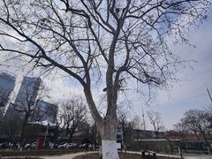 -睦南公园