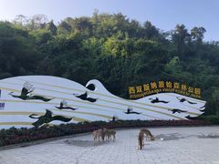 -西双版纳原始森林公园