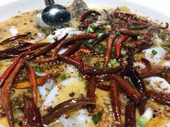-首秀·四川料理(星耀101店)
