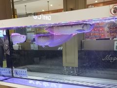 -白玉兰酒店(上海田子坊马当路地铁站店)