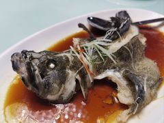 清蒸石斑鱼-福禧酒窖·中餐厅 (万柳店)
