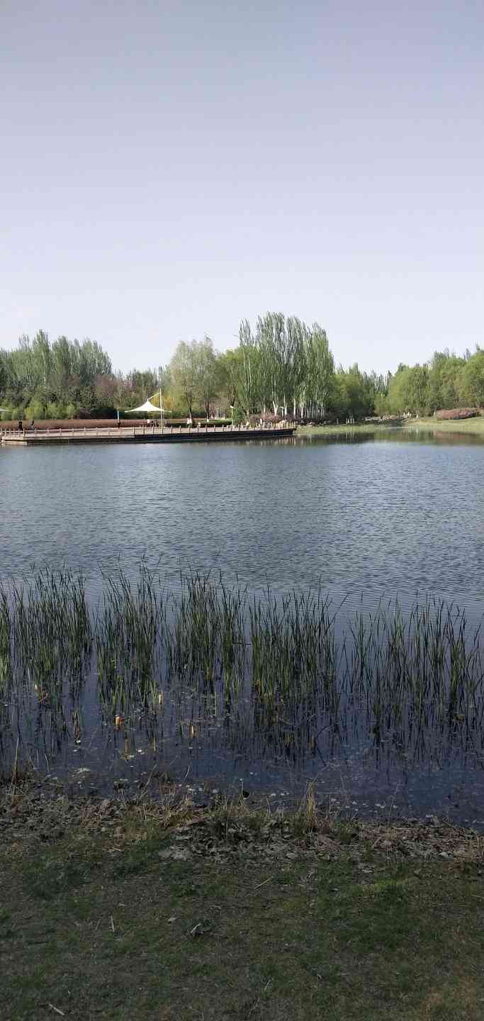 锡林公园-"虽然我住在城北,但昨天仍不辞辛劳地乘公交.