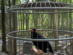 -昆山城市生态森林公园