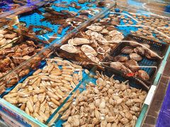 -大连湾旭日·家宴·海肠捞饭(马栏广场店)