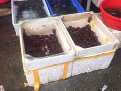 -马王堆海鲜水产市场