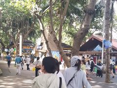 -海南分界洲岛旅游区