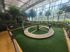 -南宫五洲植物乐园