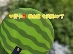 -思南书局(复兴中路店)