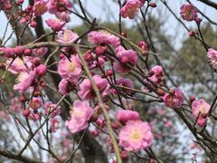 -黄陂区野村谷景区