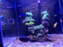 -海合安武汉极地海洋公园