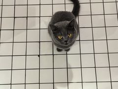 -ID.PHOTO照相馆(嘉里企业中心店)