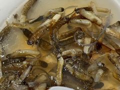 -舌尖上·霞浦滩涂海鲜·新闽菜(总店)