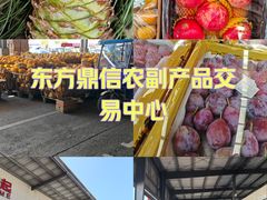 -东方鼎信农副产品交易中心