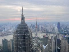 -The lounge 柏悦酒店大堂酒廊(上海环球金融中心店)