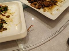 -普天和酒楼·新津菜·烤鸭(天津之眼店)