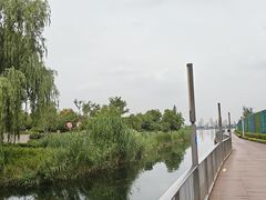 -金鸡湖景区