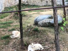 -泉州海丝野生动物世界