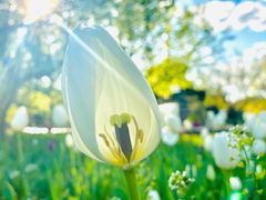 -长春公园(普阳街道)