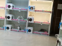 -lincat·猫舍(广州店)