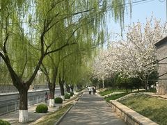 -元大都城垣遗址公园